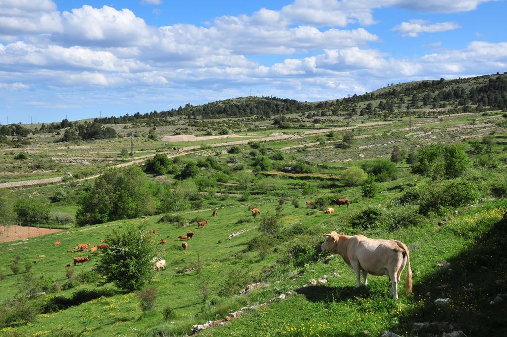 Casa Rural El Boixar - El Mirador Bojar Eksteriør bilde