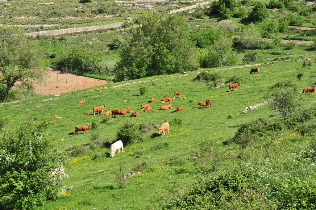 Casa Rural El Boixar - El Mirador Bojar Eksteriør bilde
